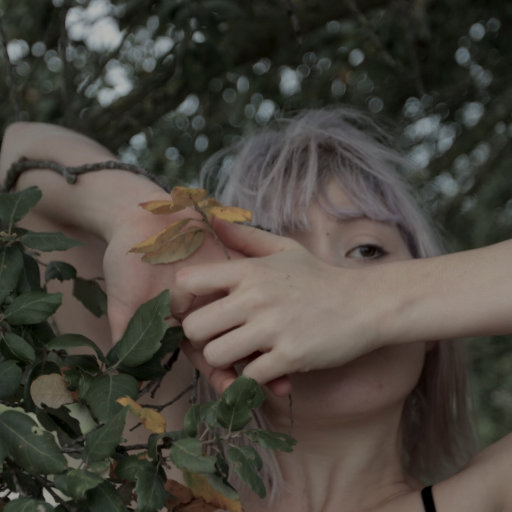 日韩AV无码无码无码
